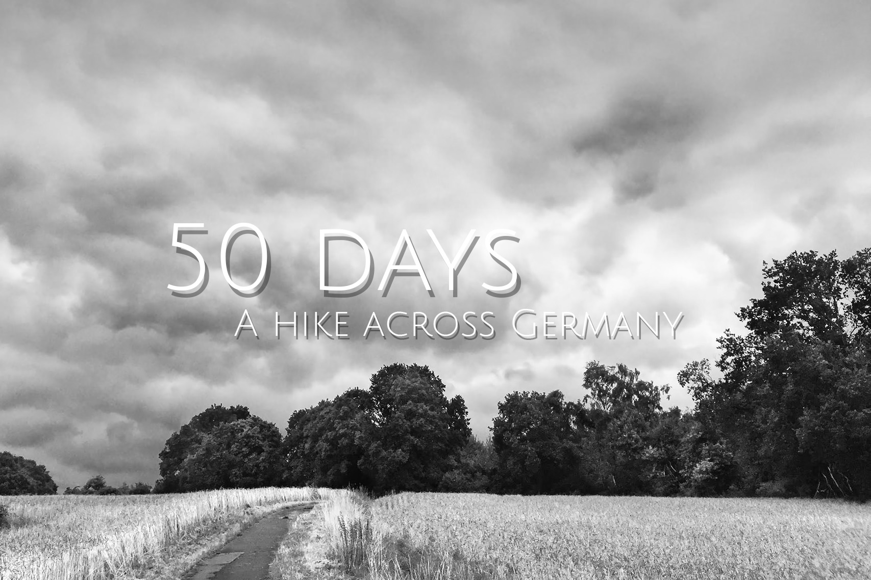 (c) 50days.de