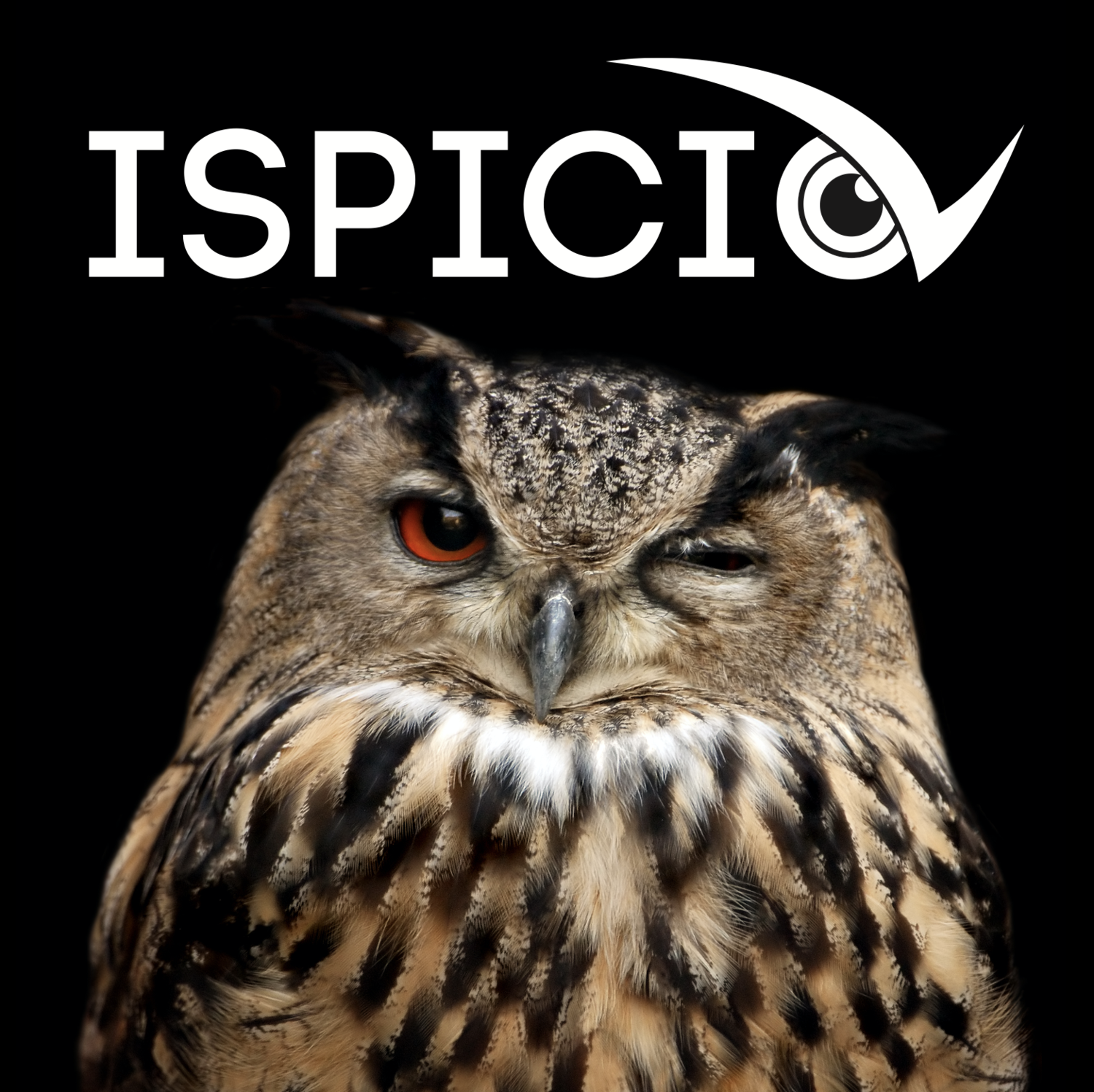 (c) Ispicio.com