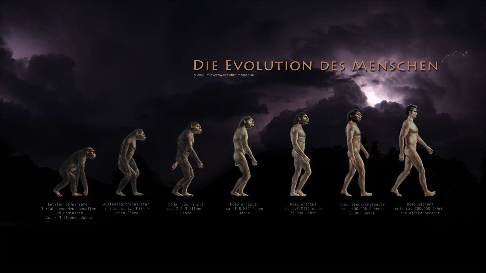 (c) Evolution-mensch.de